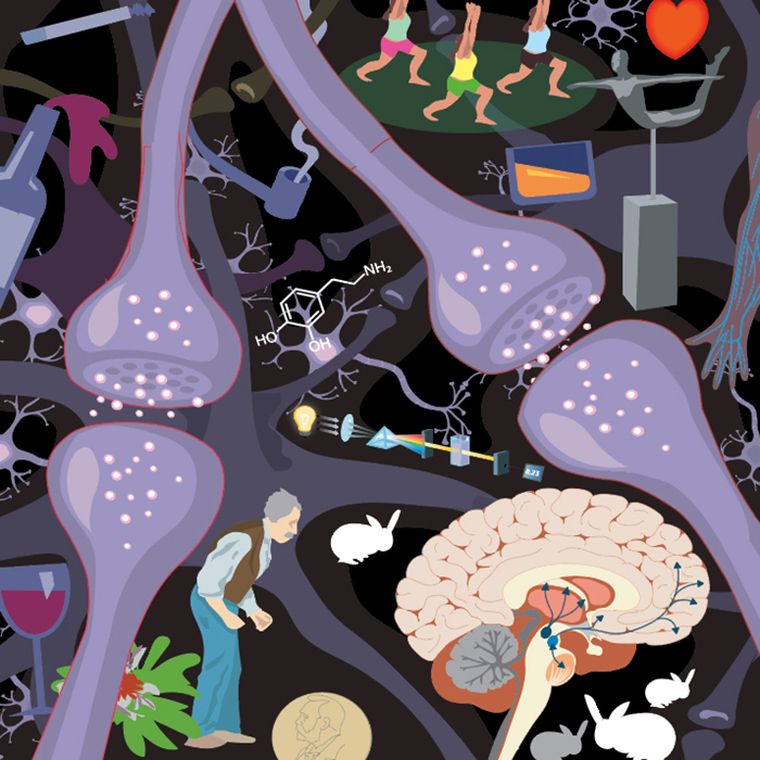 neurovetenskap, det är krångliga grejer det.